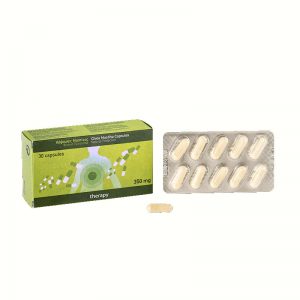 Mastihatherapy Chios Mastiha 350mg 30caps