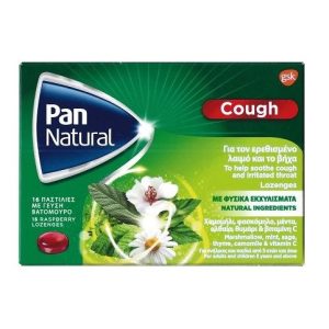 Pan Natural Παστίλιες με Φυσικά Εκχυλίσματα 16τμχ Γεύση Βατόμουρο